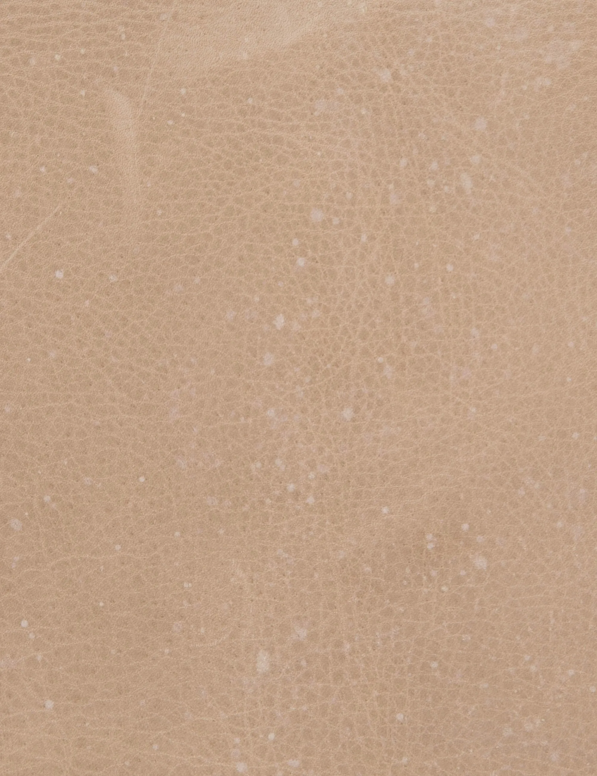 Anouk Accent Chair