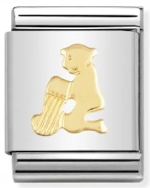 BIG Link - Aquarius in Gold Charm