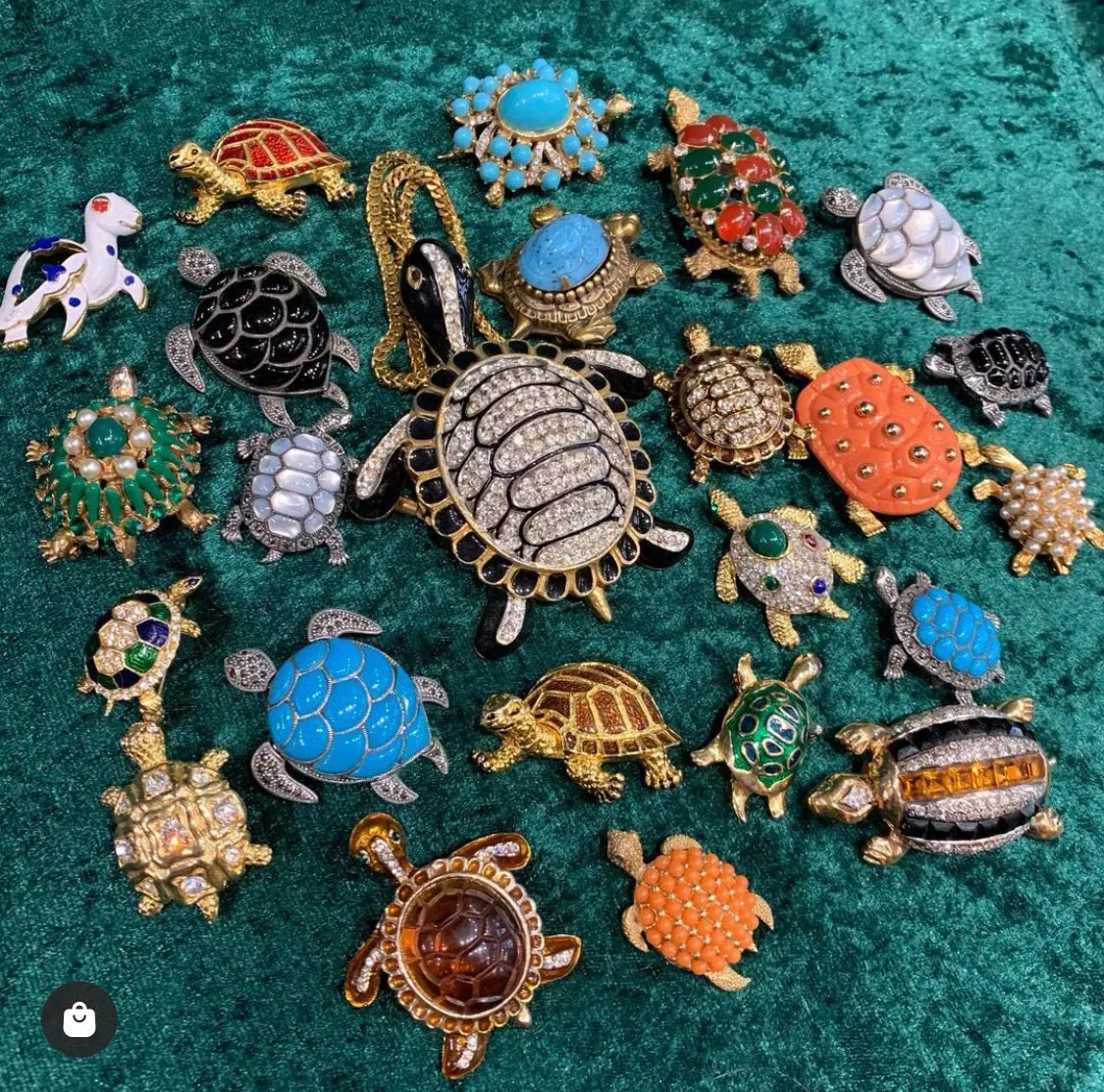 Bright Turquoise Tortoise Brooch