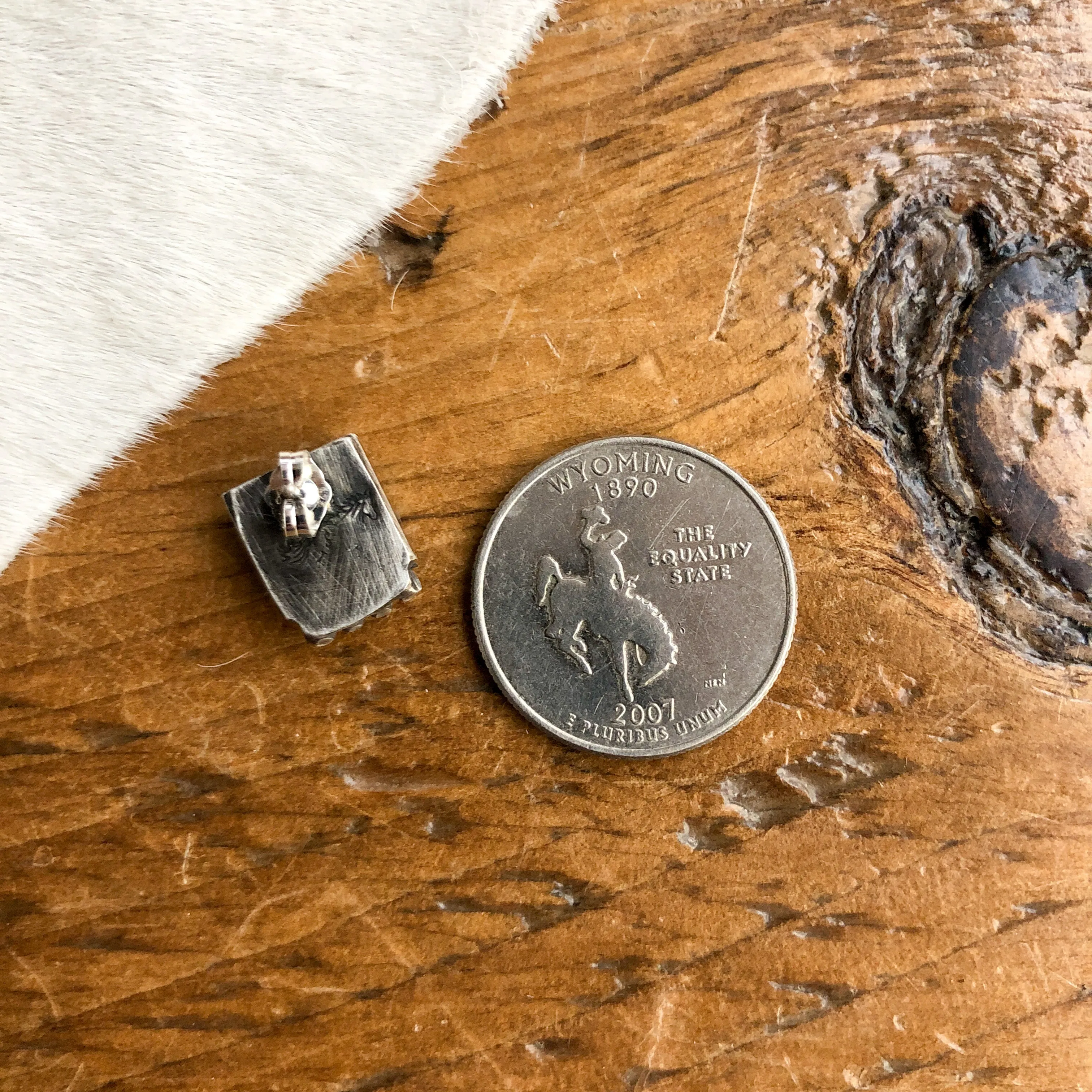 Chino Valley Earrings