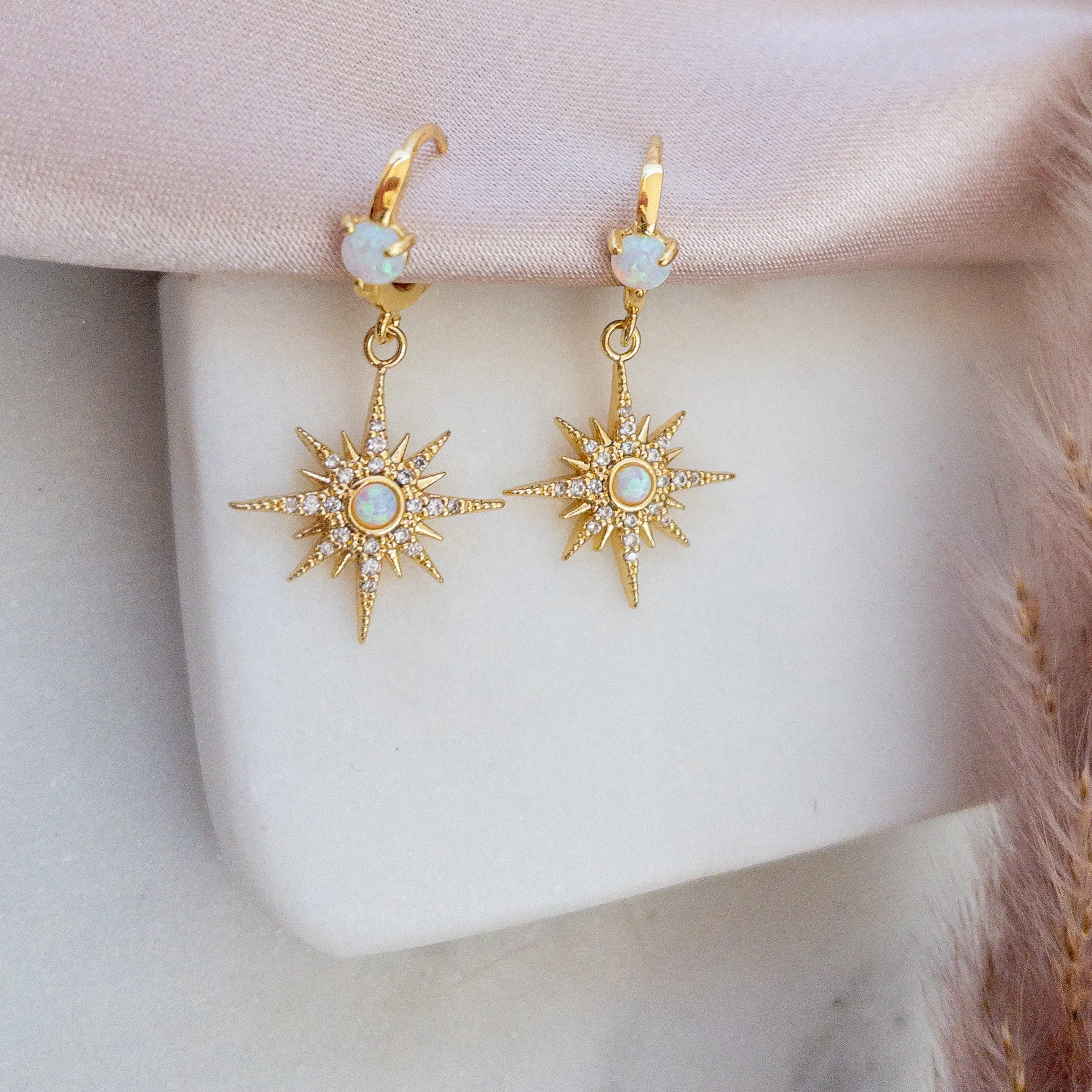 Danica Hoops