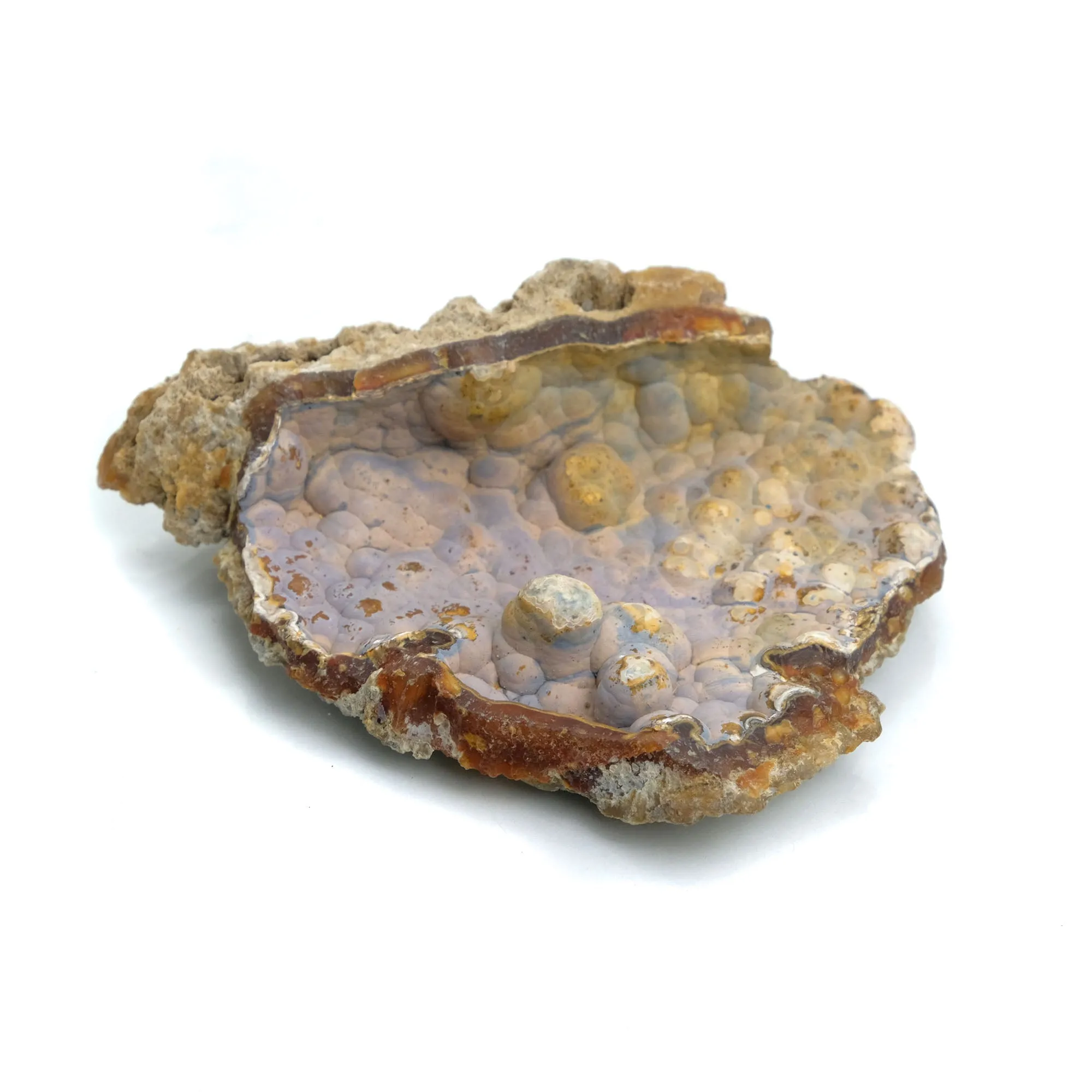 Fossilized Coral in Botryoidal Form with Silicate Druzy Specimen #97