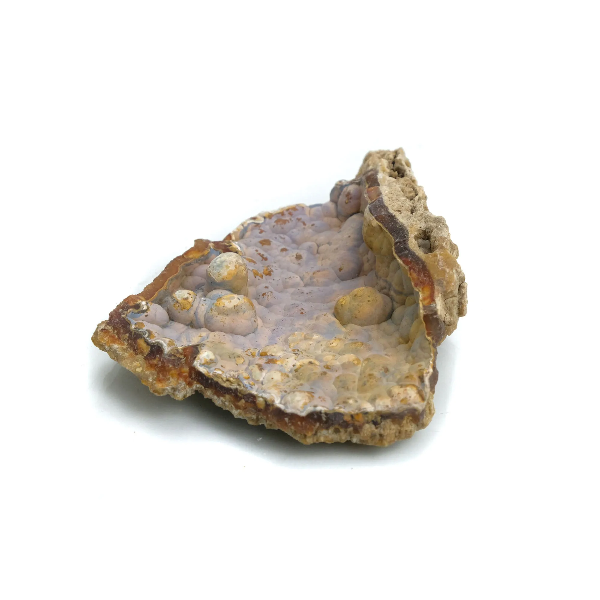 Fossilized Coral in Botryoidal Form with Silicate Druzy Specimen #97