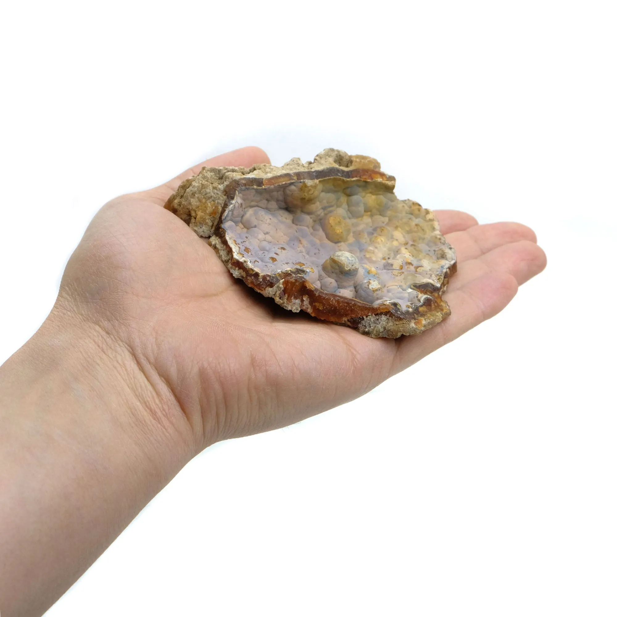 Fossilized Coral in Botryoidal Form with Silicate Druzy Specimen #97