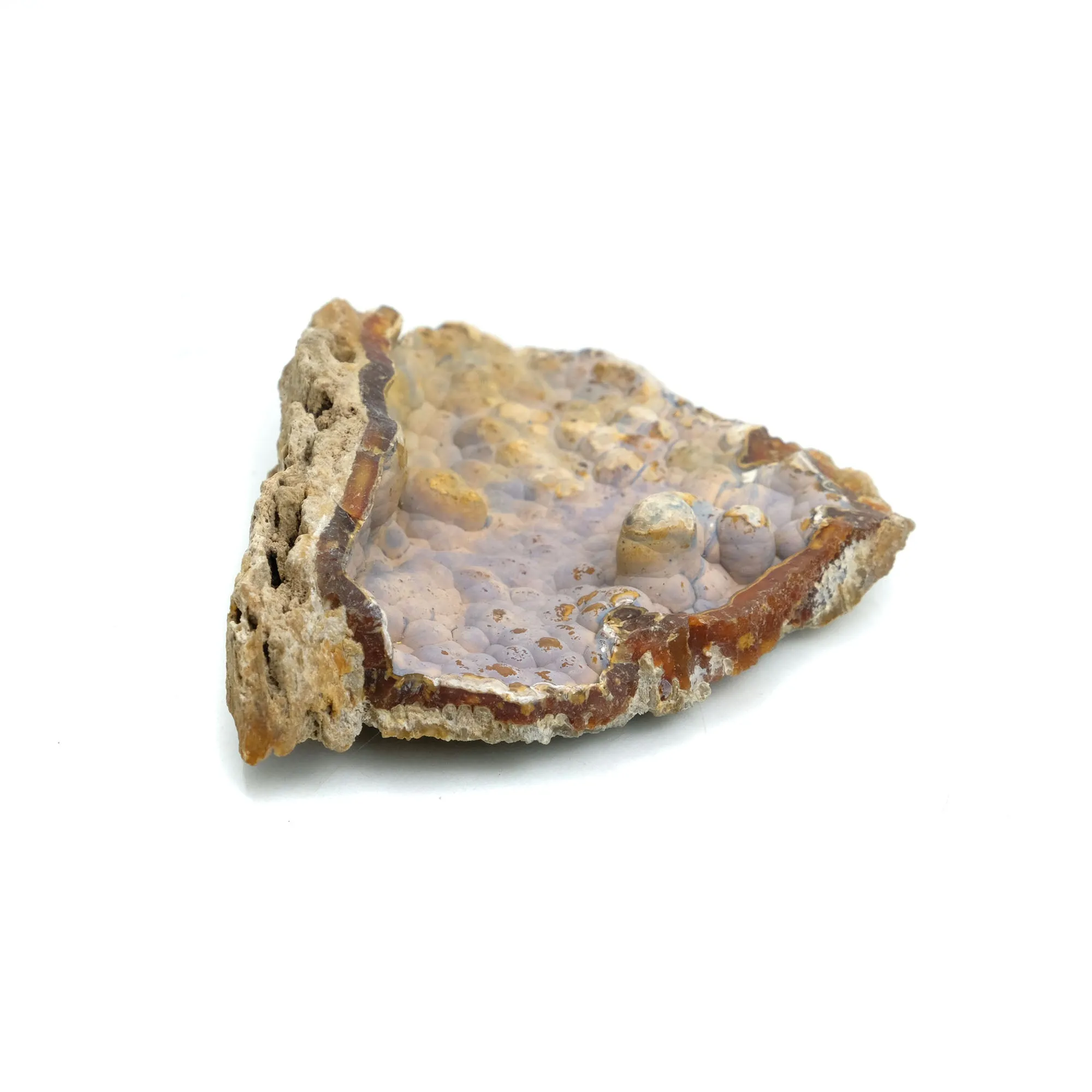 Fossilized Coral in Botryoidal Form with Silicate Druzy Specimen #97