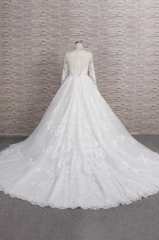 Graceful V-neck Long Sleeve Appliques Wedding Dress