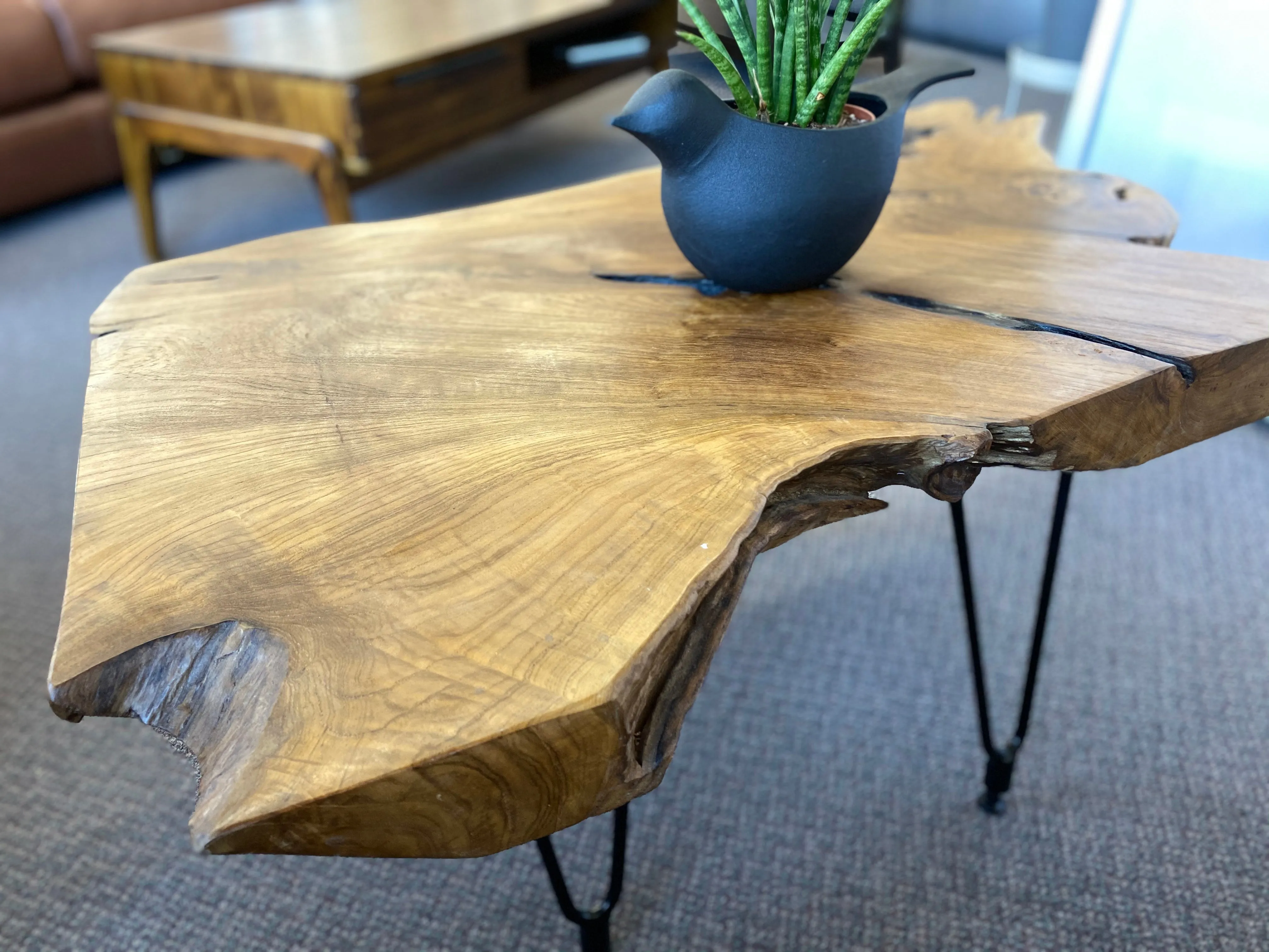 Natura Freeform Coffee Table