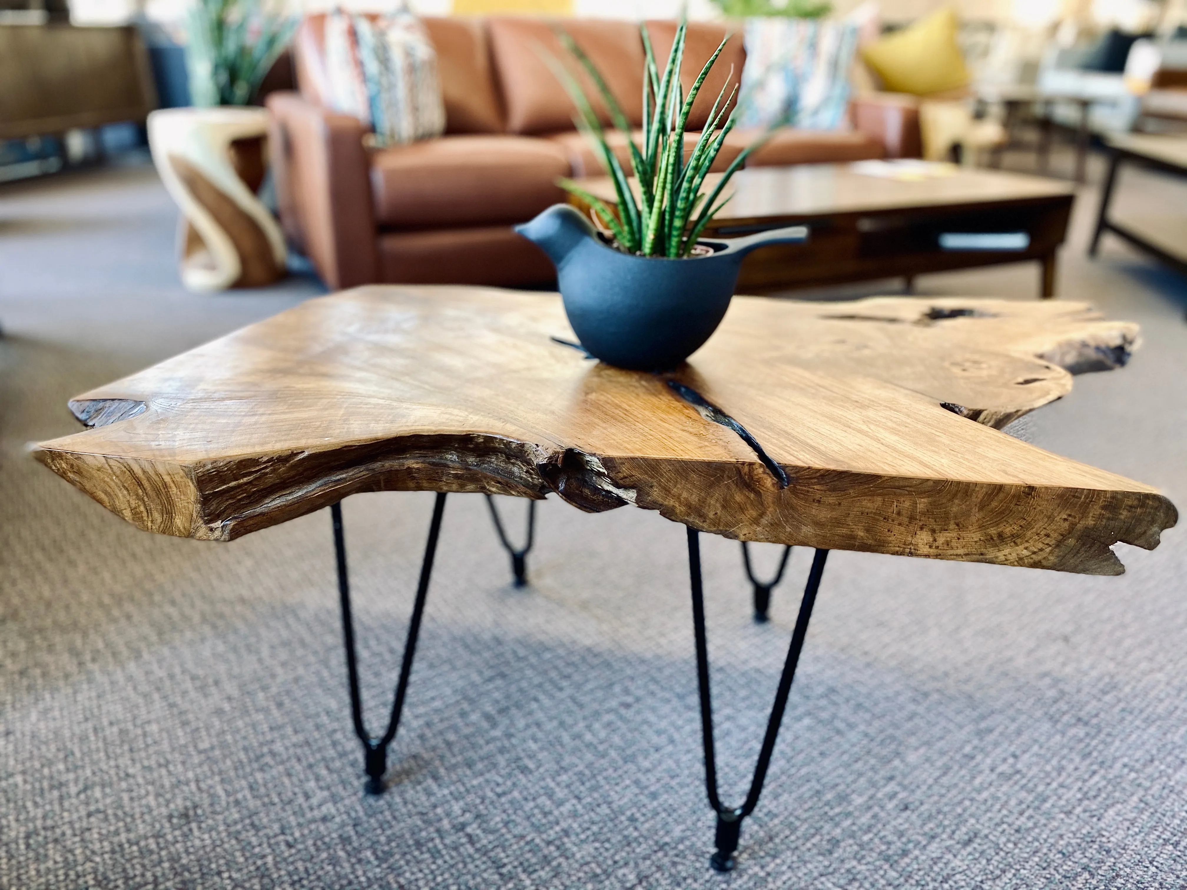 Natura Freeform Coffee Table