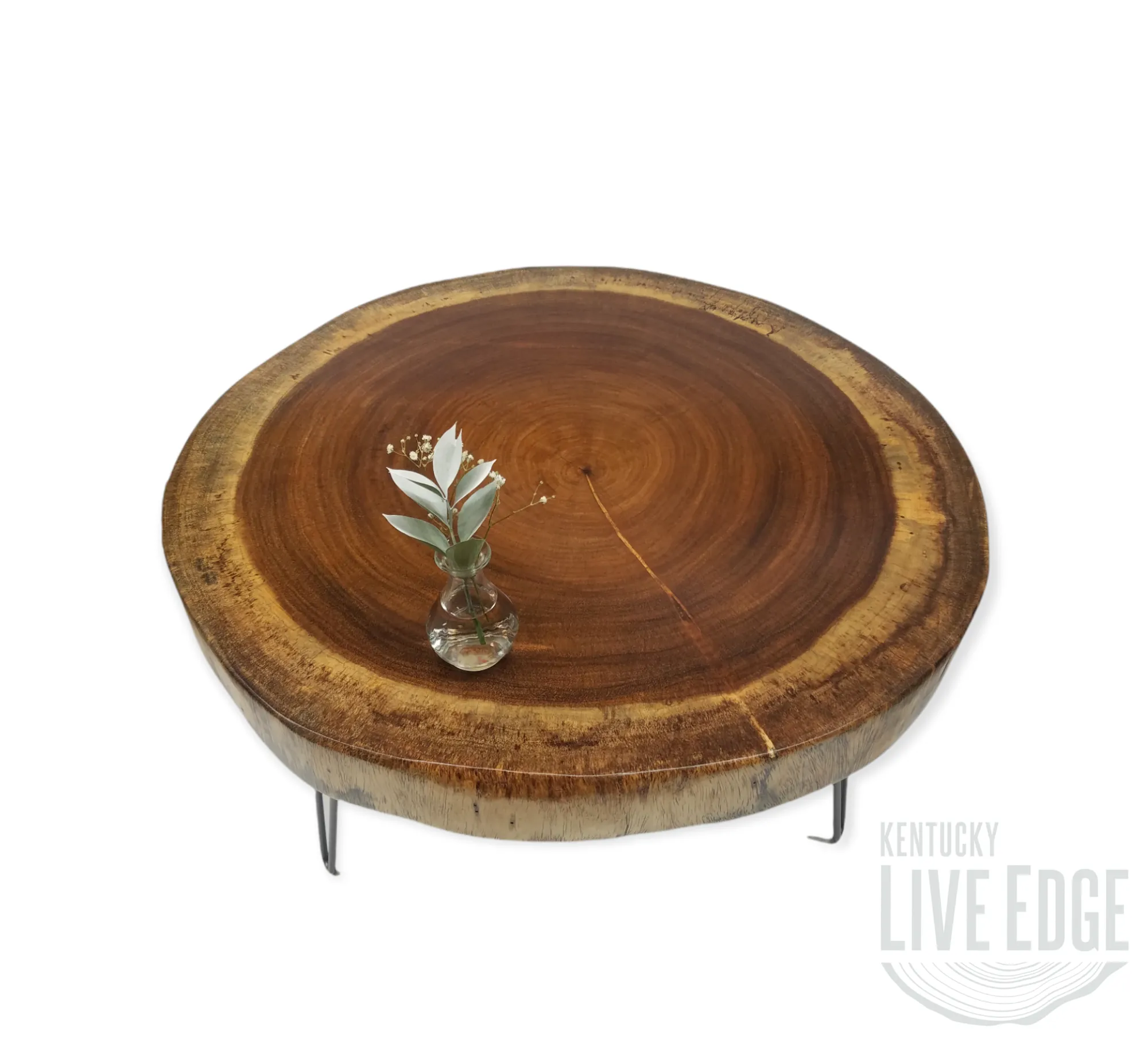 Round Coffee Table- Live Edge Table- Circular- Dark Wood- Large Coffee Table- Monkeypod Slab- Tree Slice- Modern- Thick Wood- Nature- Unique