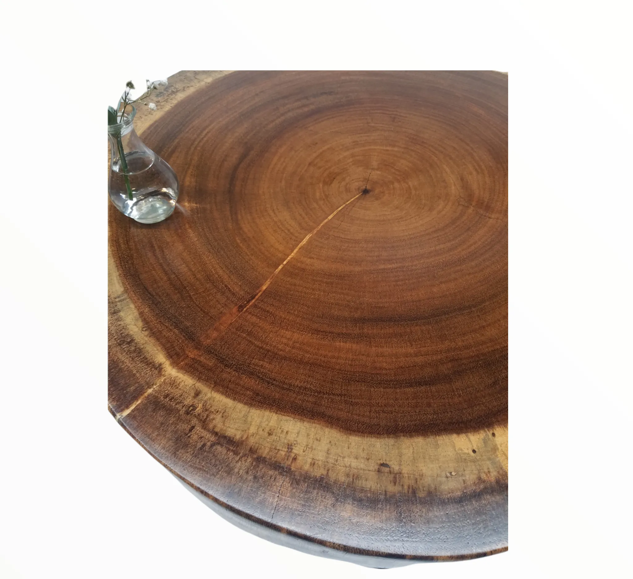 Round Coffee Table- Live Edge Table- Circular- Dark Wood- Large Coffee Table- Monkeypod Slab- Tree Slice- Modern- Thick Wood- Nature- Unique