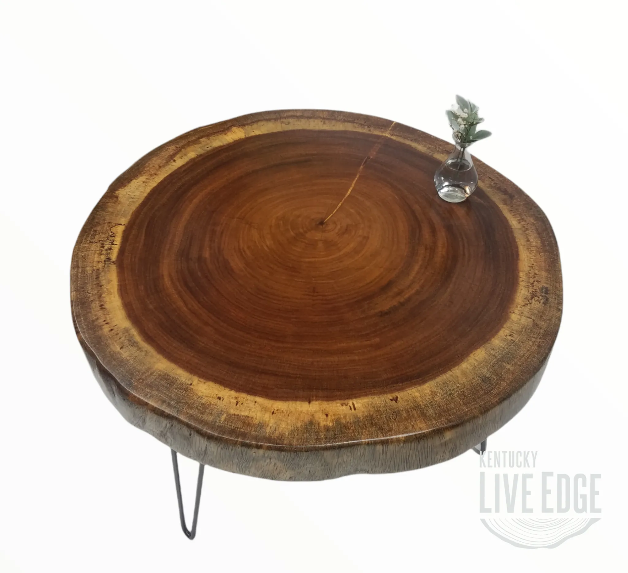 Round Coffee Table- Live Edge Table- Circular- Dark Wood- Large Coffee Table- Monkeypod Slab- Tree Slice- Modern- Thick Wood- Nature- Unique