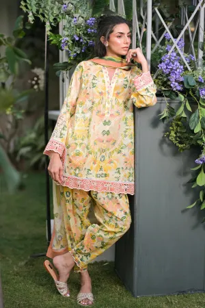 Stitched Spring Summer '24 - Amil (RTS)
