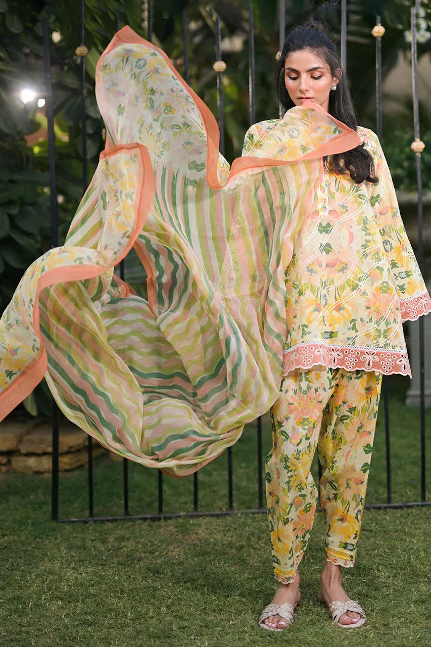 Stitched Spring Summer '24 - Amil (RTS)