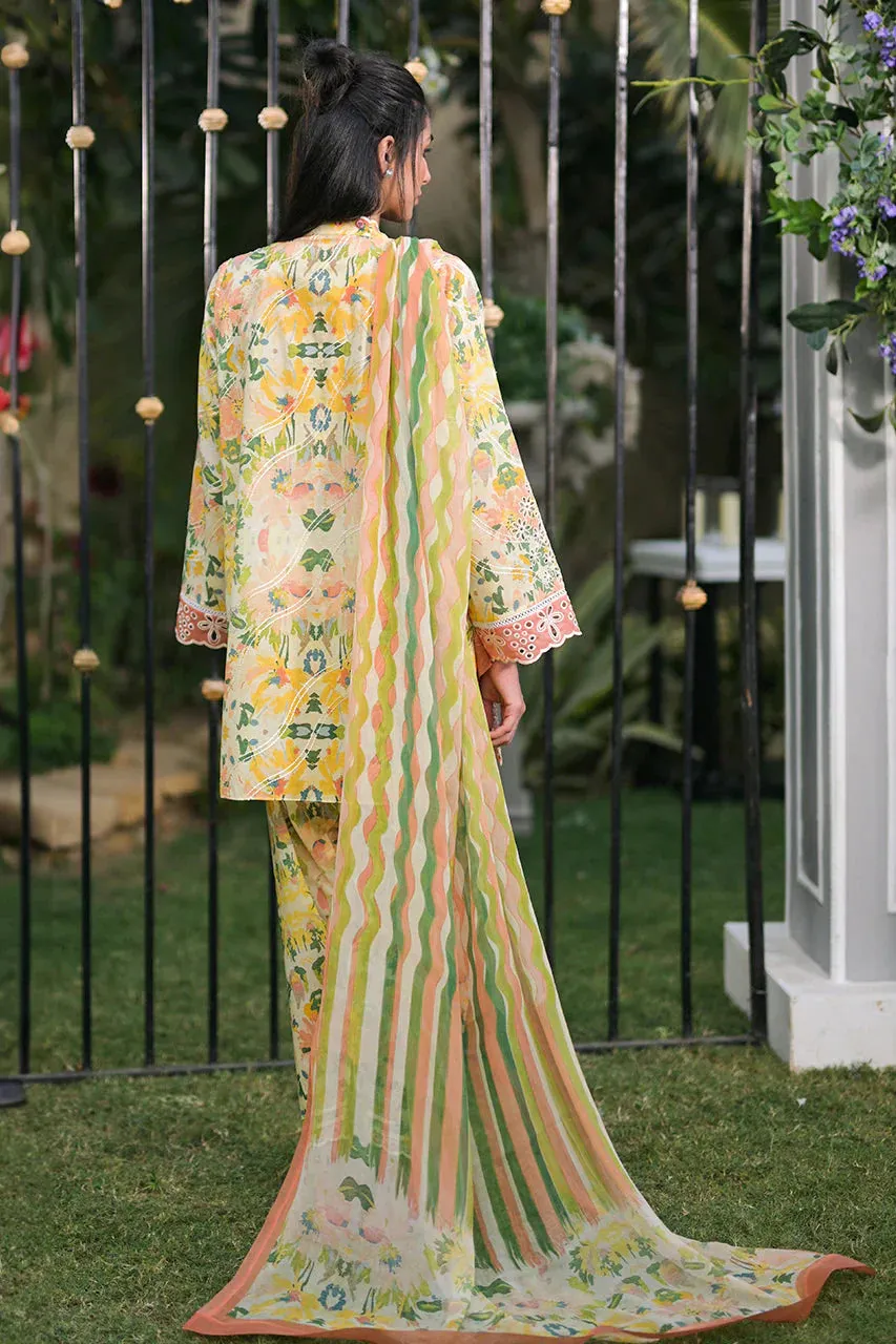 Stitched Spring Summer '24 - Amil (RTS)