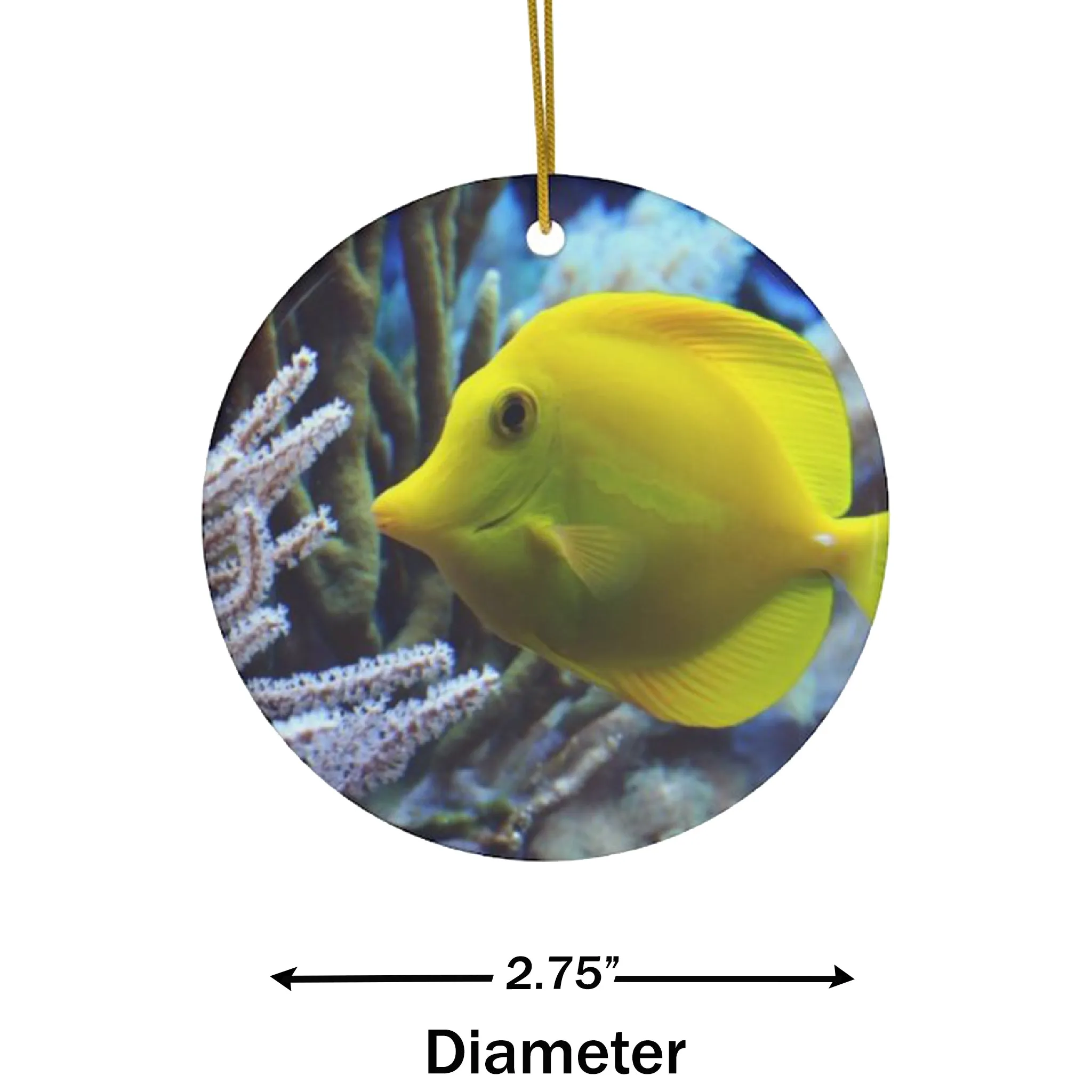 Tropical Surgeon Fish Ceramic Ornament