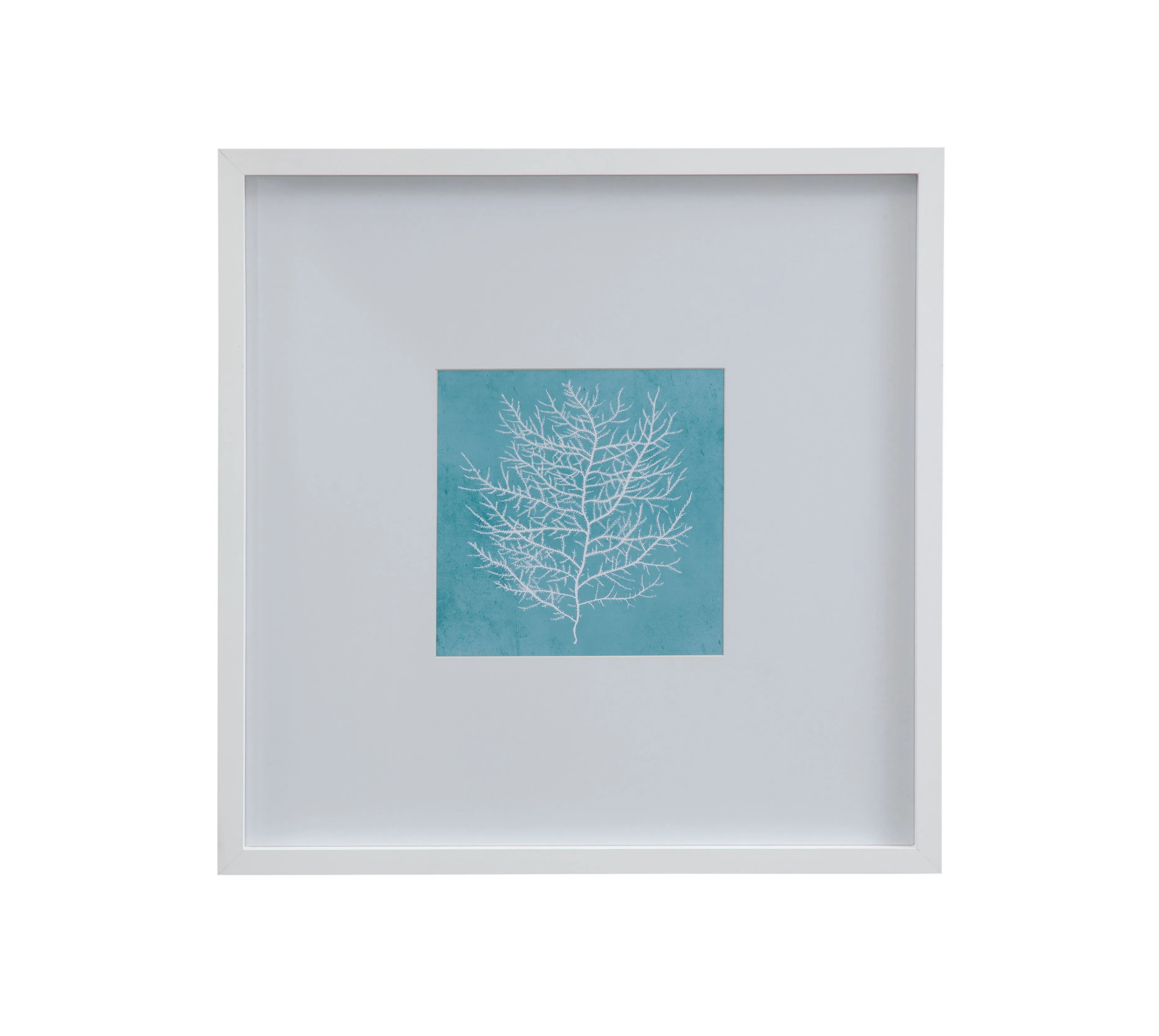 White Coral On Blue - II Framed Print - Blue / White