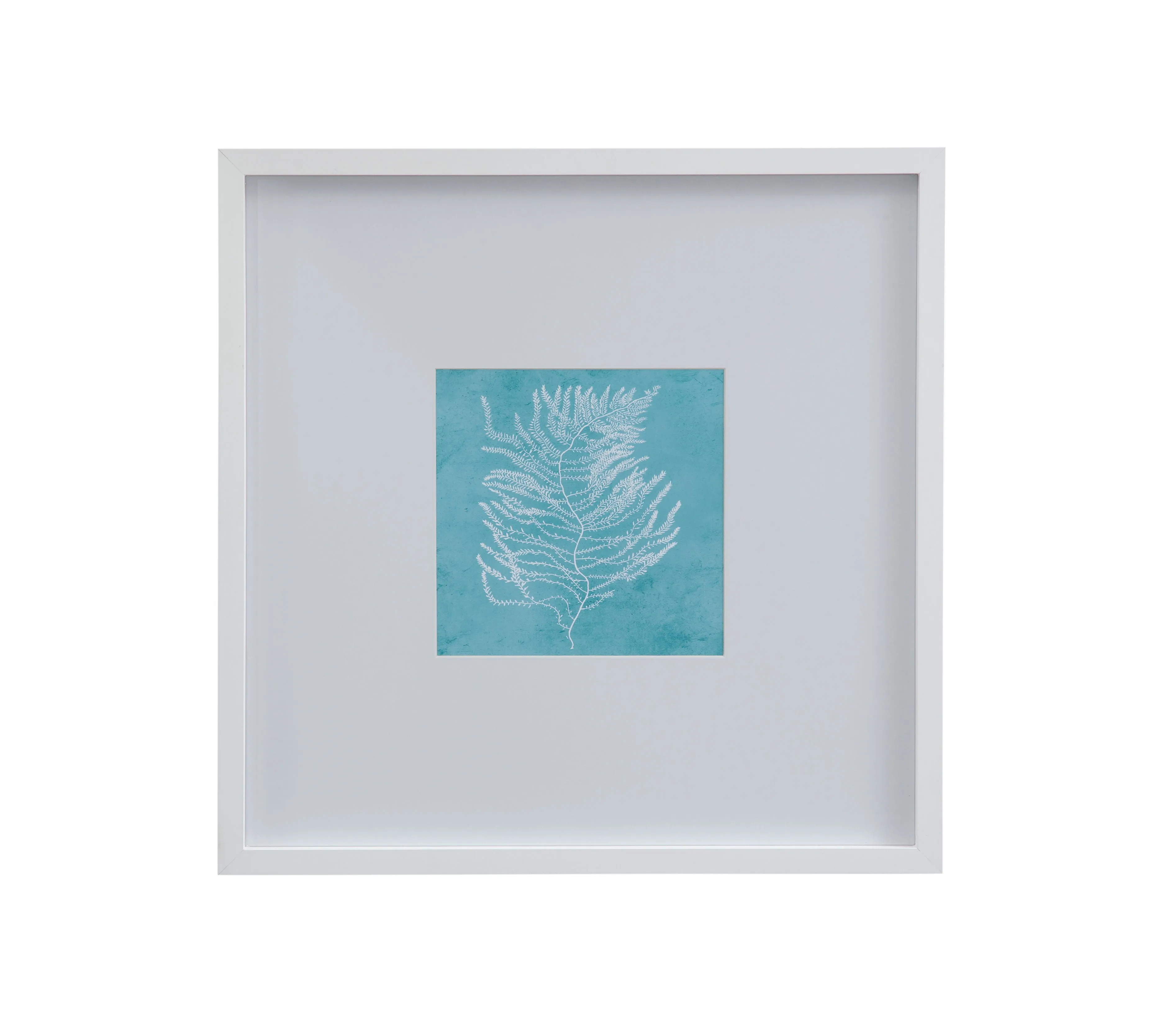White Coral On Blue - III Framed Print - Blue / White